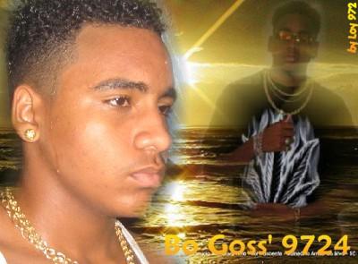 montage 13