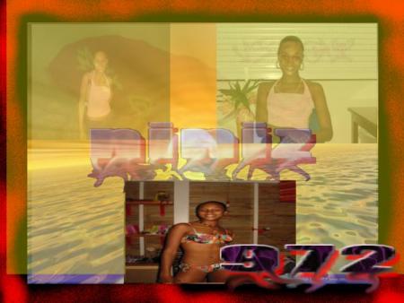 montage 6