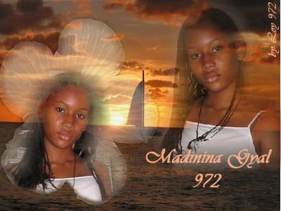 montage 14